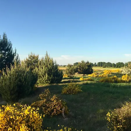 Σπίτι διακοπών Wiesenblick 6